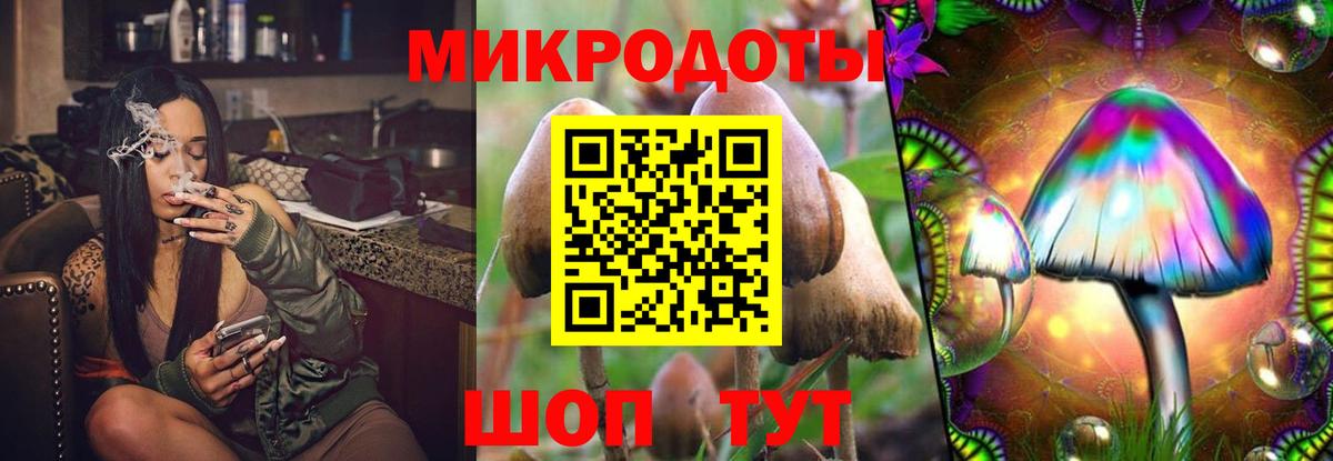 Псилоцибиновые грибы Psilocybe  Галлюциногенные грибы мухоморы  Вход с VPN  Родники 